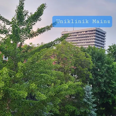 Helles An Der Uniklinik - Schlesisches Viertel Mainz