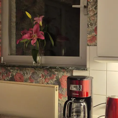 Helles An Der Uniklinik - Schlesisches Viertel Rum i privatbostad *